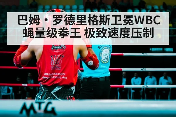 巴姆·罗德里格斯卫冕WBC蝇量级拳王 极致速度压制